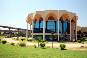 Afrika evcil hayvan sektörü neden hızla büyüyor?